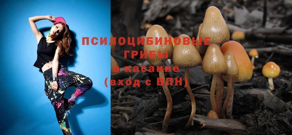 MDMA Белокуриха